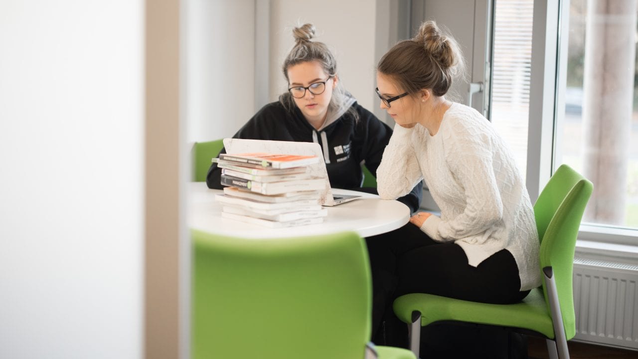 2 students working in library