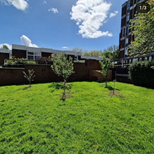 Birmingham Newman University trees planted for Green Week