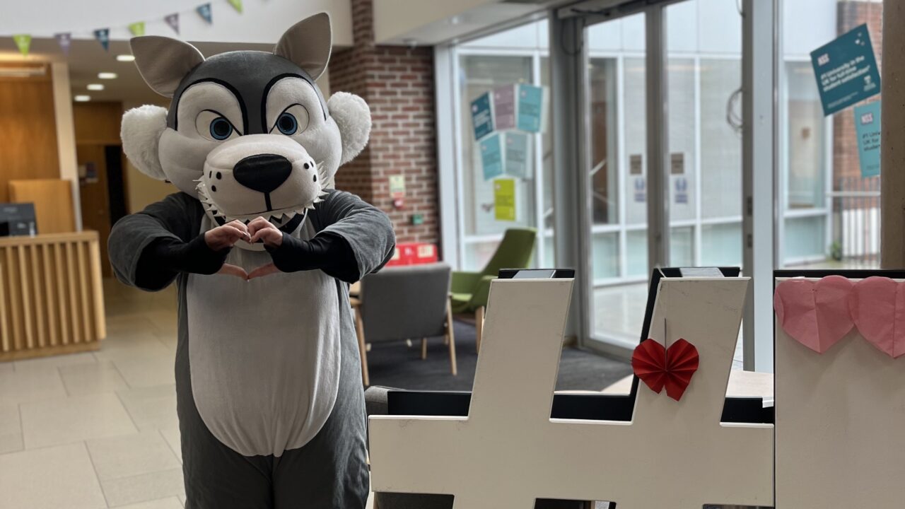 Wolfie, university mascot at Love Newman