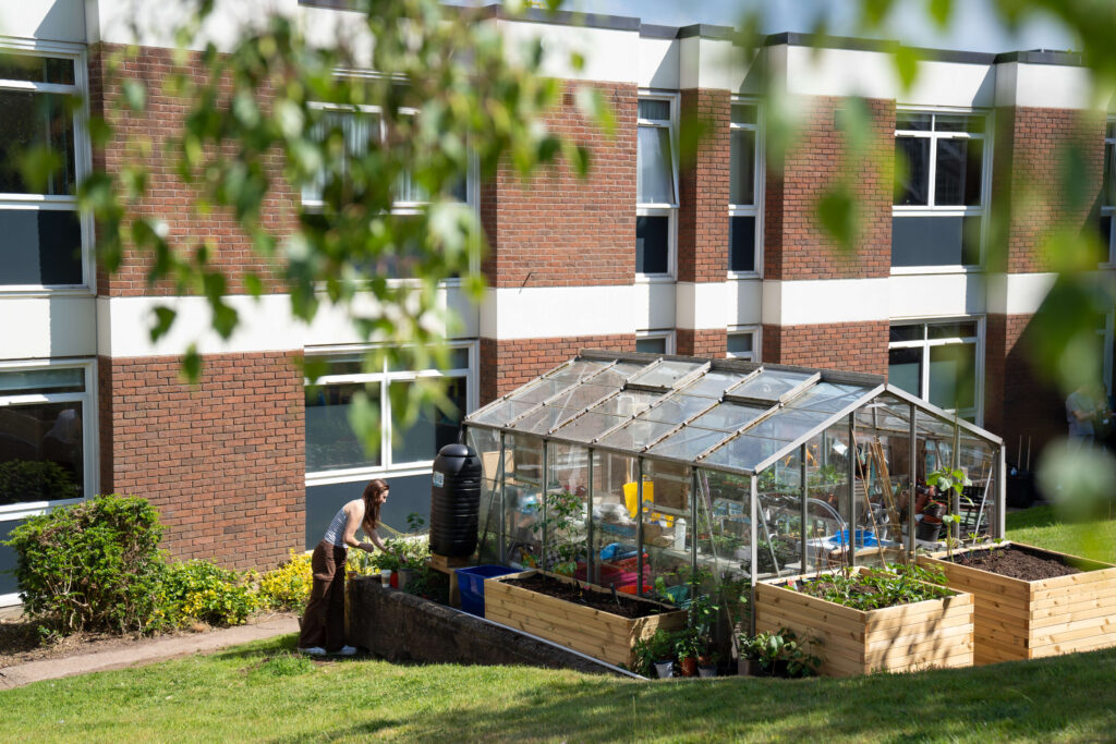 Greenhouse project