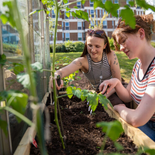 Students - greenhouse