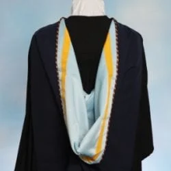 Bachelor of Science gown - Back View