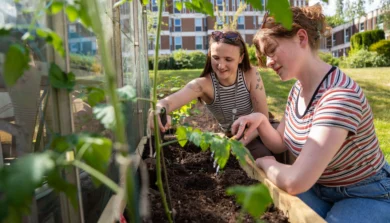 Students - greenhouse